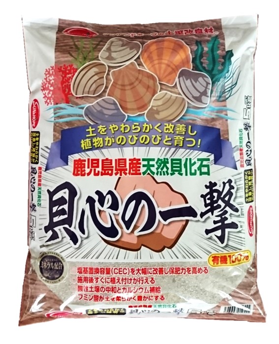 貝化石 大型 6、75kg 玄1