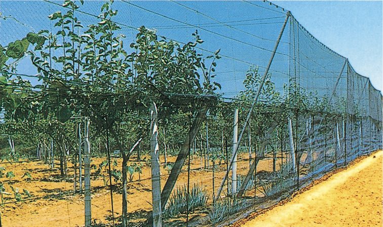 日本農業システム防鳥ネット 強力防鳥網 1000D ブルー 3cm目×幅7.2m×長さ9m