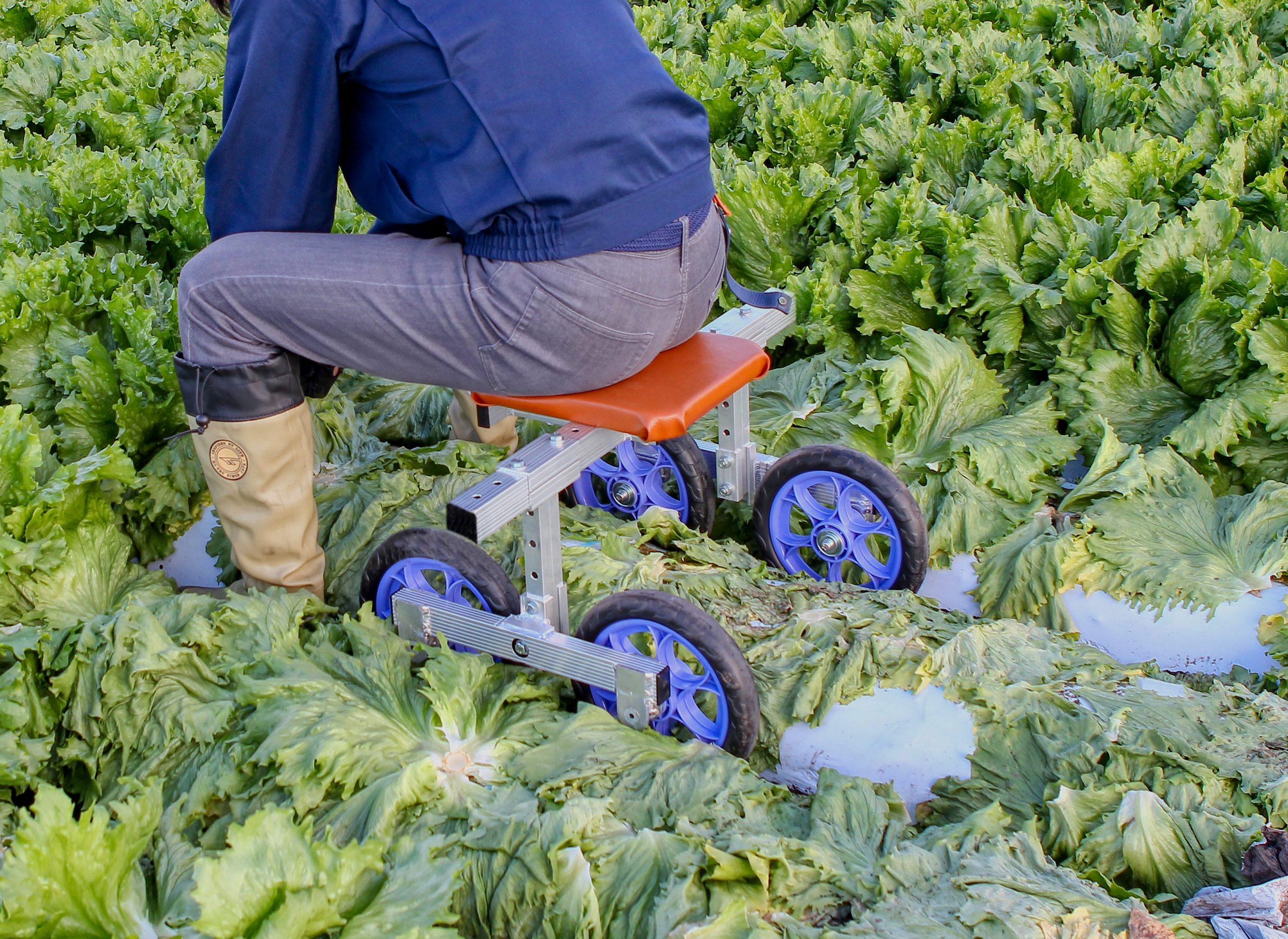 ナエッコ NK-610 | 商品紹介 | タキイ農業資材オンライン