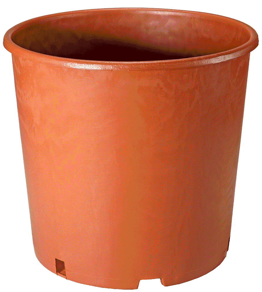 テラコッタポット（TPφ32） | 商品紹介 | タキイ農業資材オンライン