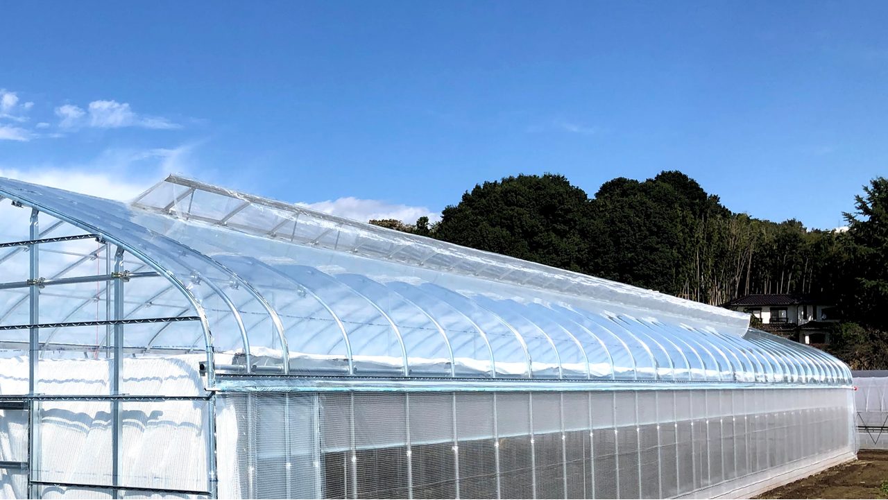 クールジャパン | 商品紹介 | タキイ農業資材オンライン