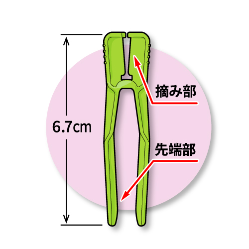 ラン太　寸法